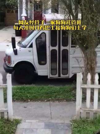 𝑱𝒘一孤小棉狼🐺