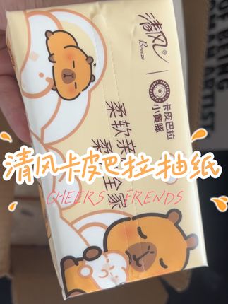 这种消耗品刷到就多囤一些#清风 #卡皮巴拉抽纸 #日用品
