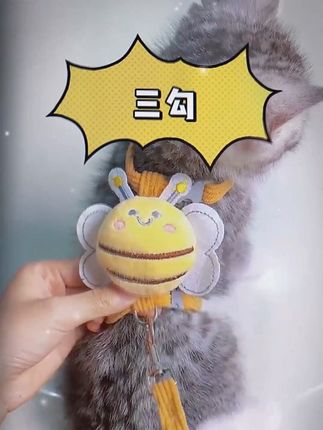 这个牵引绳太可爱了 春暖花开如何正确带猫出门 #猫咪 #牵引绳 #遛猫 #萌宠好物 #新手养猫