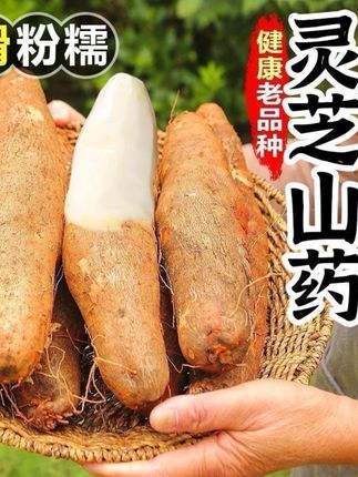 #农业种植 #三农 #原创视频 #抖音新农人 #乡村振兴dou行动
