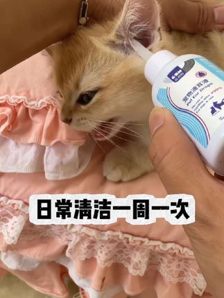 耳螨克星、耳道清洁,长头软管不伤耳道,定期清理告别耳螨!#萌宠出道计划#科学养宠攻略 #萌到爆炸了💥 #耳螨清洁液 #养宠家庭必备