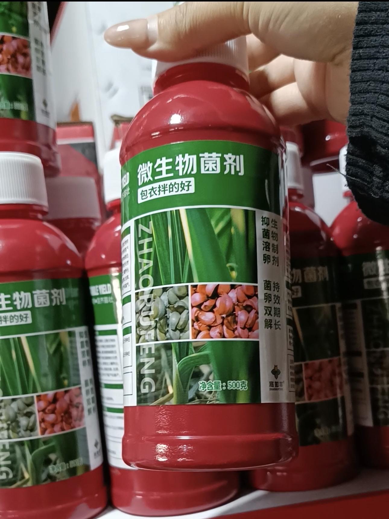 兆如丰正品大蒜拌种神器来啦~ 兆如丰正品大蒜拌种神器来啦~ 种大蒜到底要不要拌种?特别是重茬地块,市场上那么多的半种剂到底怎么选?今天给大家分享一个配方,不仅成本低,效果也非常好。去年经过我们拌种处理的蒜母,在同期病害发展非常严重的情况下,表现依然非常好,先收藏关注,不然划走就找不到了。我们可以用这个爱丰收大蒜拌种剂一瓶可以拌种150斤左右,不用兑水田间地头直接办就可以。这个配方不仅对蒜蛆地下虫导致的根腐、蒜瓣炸裂防效突出,并且可以保护蒜母,预防幼苗期的病害,增强抵抗能力,特别是连续重茬的地块效果得到大量验证,大蒜生根快,早春反青快,大蒜产量高,有需要这个大蒜拌种剂可以点击下方链接。 #农资肥料 #大蒜 #大蒜种植 #拌种剂#种植小技巧