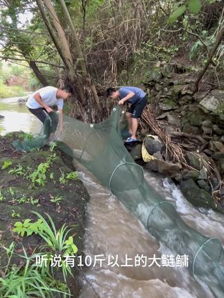 山村小铺_新农人