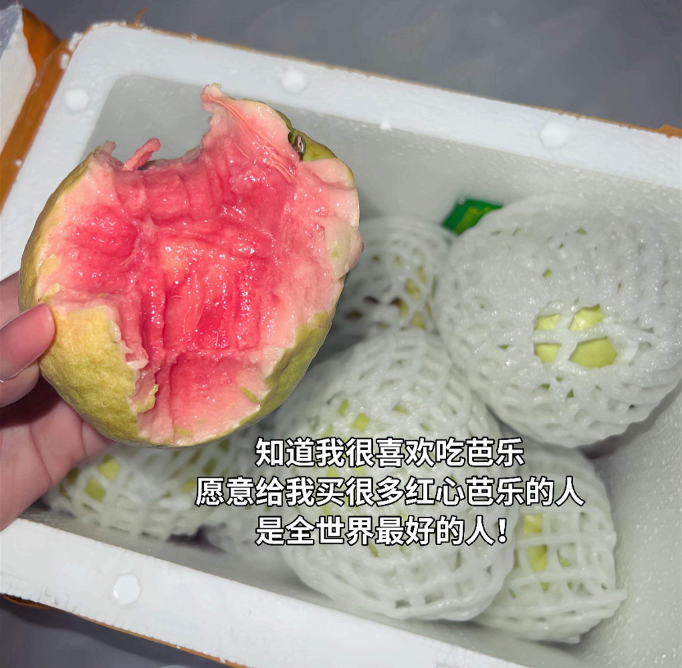 我宣布芭乐是世界上最好吃的水果 #芭乐 #水果 #应季水果