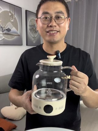 #养生壶 #养生壶推荐 #烧水壶 #家庭必备 #好物推荐🔥