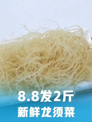 8块8发2斤新鲜龙须菜,趁有活动,快点抢!#超便宜超划算 #龙须菜 #龙须菜凉拌做法 #在家做美食 #快来一起尝个鲜