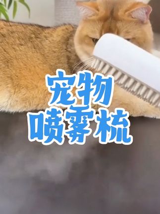 猫狗白色喷雾按摩梳喷雾清洁防飞毛静电不伤猫咪梳子清理器去浮毛#dou上热门 @DOU+小助手 #喷雾梳 #猫咪梳子 #宠物梳子 #宠物按摩梳
