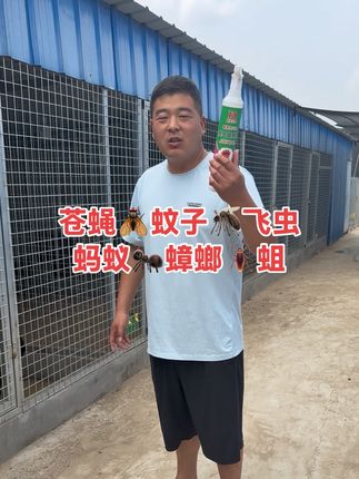 家用,室内外,养殖场,无色无味,安全,放心用!#格力犬 #格力犬爱好者 #猎兔犬 #猎兔犬猎兔犬 #蟑螂