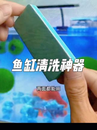AQGT除水垢擦清洁内壁玻璃鱼缸清洗水痕水渍神器无鱼缸擦缸神器#鱼缸擦#鱼缸#养鱼日记