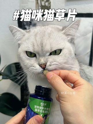 猫咪掉毛季就囤它!就是这么简单!#宠物用品#养猫新手#萌宠好物 #科学养宠攻略#猫咪好物种草