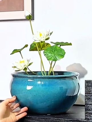 明显瑕疵处理链接水培花盆陶瓷碗莲专用盆花盆深莲花盆睡莲碗莲盆 #瑕疵#处理#超便宜超划算 #养鱼养花#你值得拥有