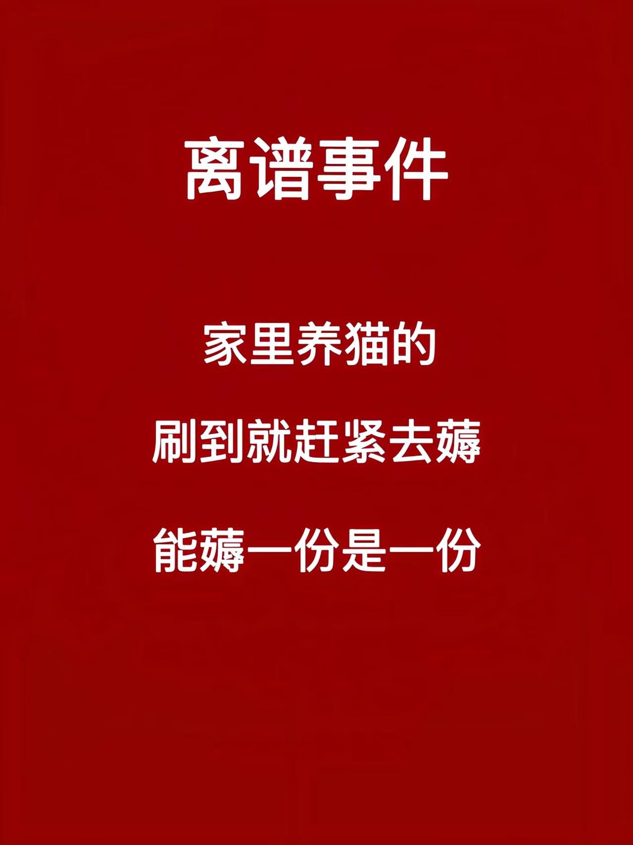 9.9两罐!88%的鲜肉和鲜内脏+10%的A2生牛乳,适口性好,小猫吃了健康肉不虚胖#新手养宠#科学喂养#猫粮测评#科学养宠攻略#科学养宠