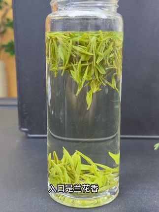 #安吉白茶 #茶叶 #召唤茶友 #源头实力厂家