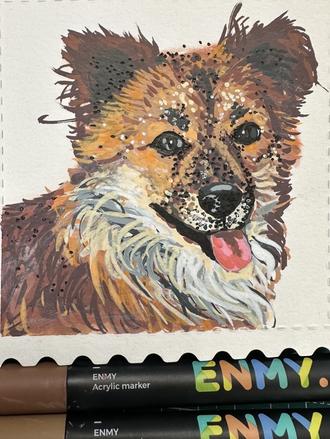 五行缺狗,大家评论区上狗图,我来画。#萌宠物宠物 #狗 #中华田园犬 #跟着抖音学画画 #丙烯马克笔