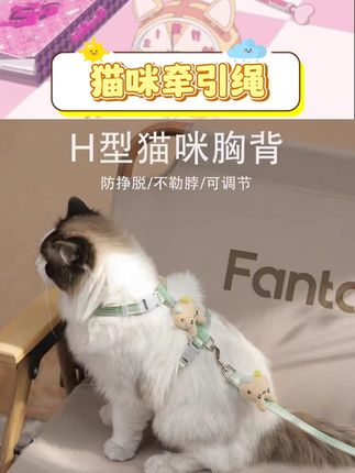 猫咪牵引绳来啦~防挣脱设计安全感拉满,再也不怕崽崽外出突然“越狱”!可调节长度适配不同体型猫咪,遛弯时灵活又自在~做工精细品质在线,外出散步、体检都能放心用,想带毛孩子看世界的家长别错过呀 #猫咪牵引绳 #养猫好物 #宠物用品 #溜猫神器