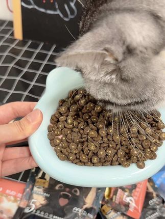 夹心猫粮,这个价格直接到手一斤#吃货猫 #遇小优猫粮 #萌宠好物 #遇小优猫粮#遇小优猫粮怎么样