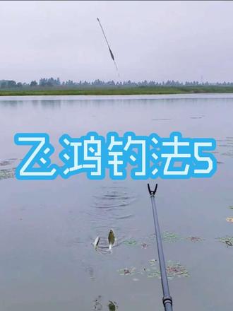 白条翘嘴鲴鱼用飞鸿钓法真实野钓 #户外钓鱼 #飞鸿钓法 #野钓 #钓技钓法