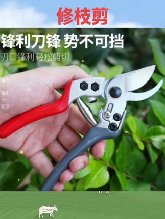 #农用工具 日本原装VVT进口新款SK5强力园艺修枝剪新款园林家用省力款花枝园#农用好物 #好物推荐 #花枝剪 #修枝剪