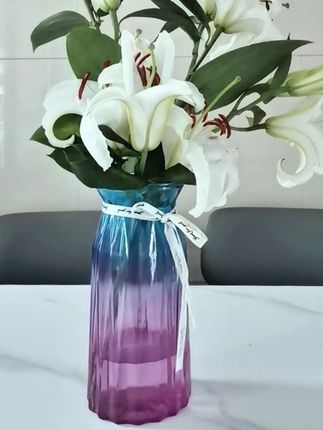 特大号玻璃花瓶加厚透明水养富贵竹百合花瓶客厅插花欧式花瓶摆件 #好物推荐🔥 #透明玻璃花瓶#超便宜超划算 #你值得拥有