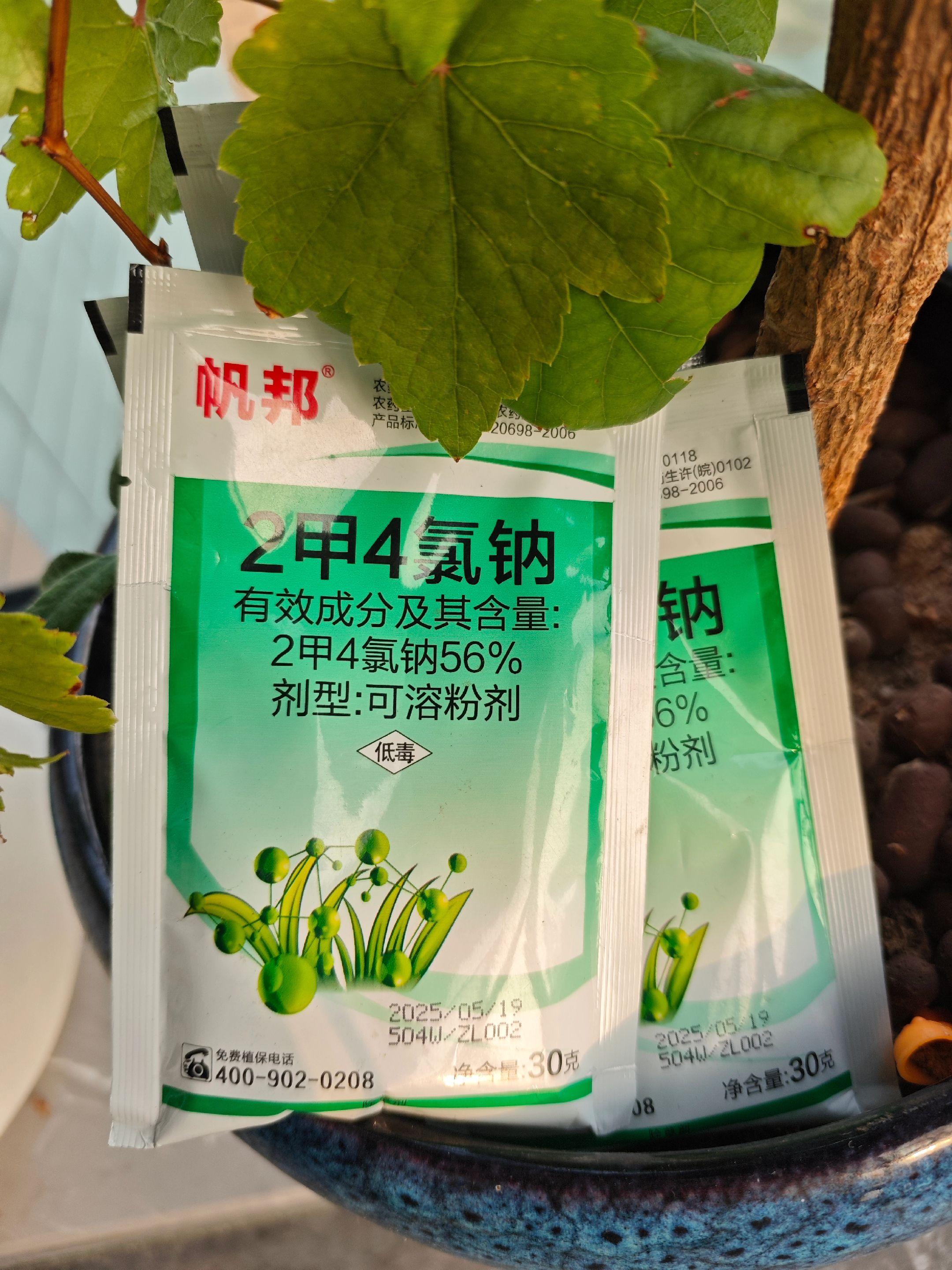 打草甘膦草胺膦的时候,一桶水加上一包2甲4氯钠#除草剂 #农业种植#超便宜超划算#优质农产品#新农人计划2025