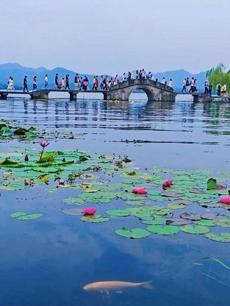 国庆假期逛人山人海的西湖。#国庆中秋双节同庆 #人山人海太热闹了 #杭州西湖 #雨西湖不如雾西湖 #国庆心动打卡地