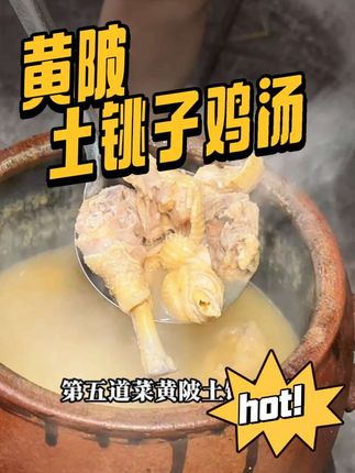 武汉黄陂日麻好吃的农家乐又来了