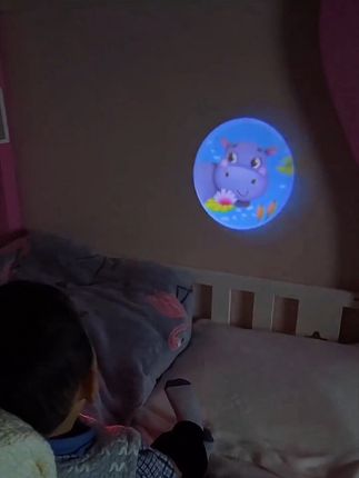儿童趣味投影手电筒宝宝早教识图发光不伤眼睡前动物 投影灯仪玩具#儿童趣味 #投影仪 #手电筒玩具 #早教 #早教玩具