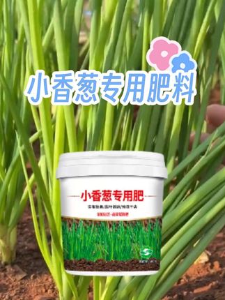 #小葱专用肥#大葱专用肥#大葱施肥#香葱种植管理 #种植小技巧