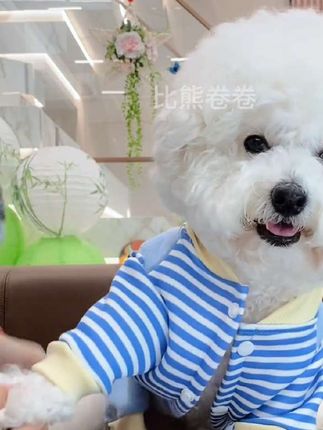 宠物秋冬加绒四脚衣#宠物衣服 #家有萌宠 #宠物秋冬加绒四脚衣#宠物用品