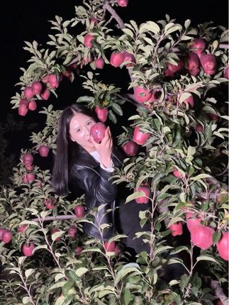 #花牛苹果