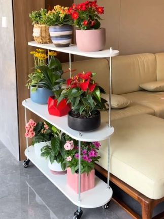 花架2025新款多肉专用网红阳台落地置物架客厅花架子阳台置物 #花架 #美观实用 #家居好物
