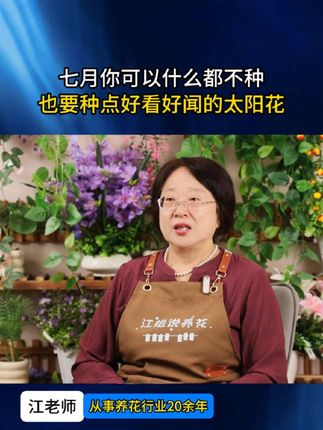 七月份你可以什么都不种,也要种点重瓣太阳花#养花#花卉#养花小知识 #太阳花