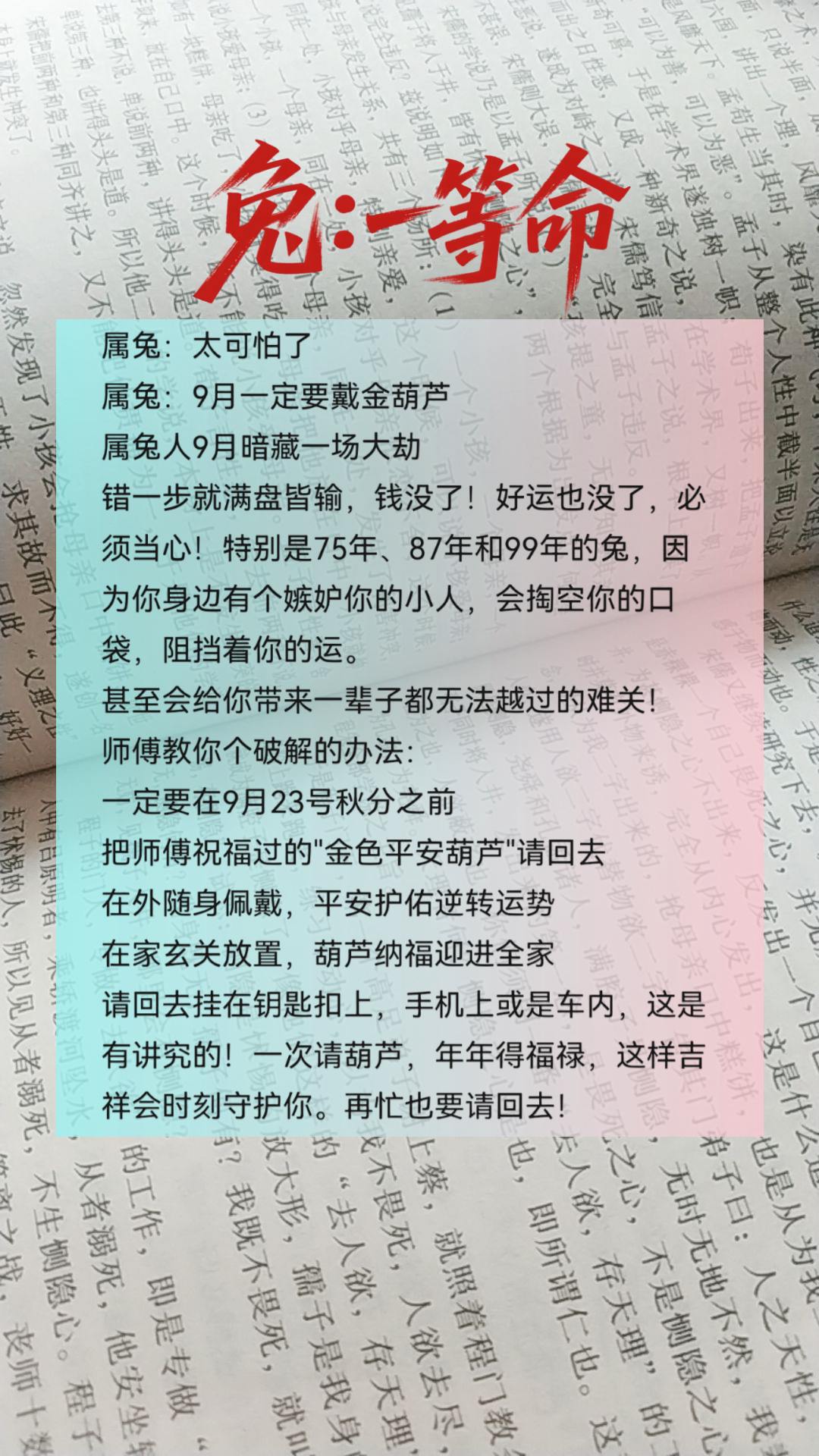 #1963年的兔 #1975年的兔 #1987年的兔