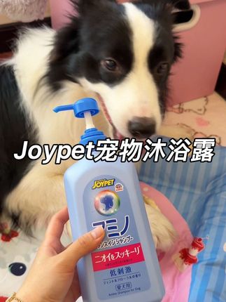 洗护合一的宠物沐浴露~很适合长毛狗狗! #给狗狗洗澡 #joypet  #狗狗 #边牧椰椰#宠物沐浴露
