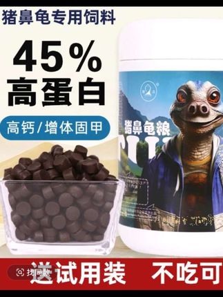 #猪鼻龟饲料 #猪鼻龟专用粮水龟黄头龟剃刀龟饲料底栖鱼高钙固甲高蛋白下沉龟粮@龟粮@抖音小助手