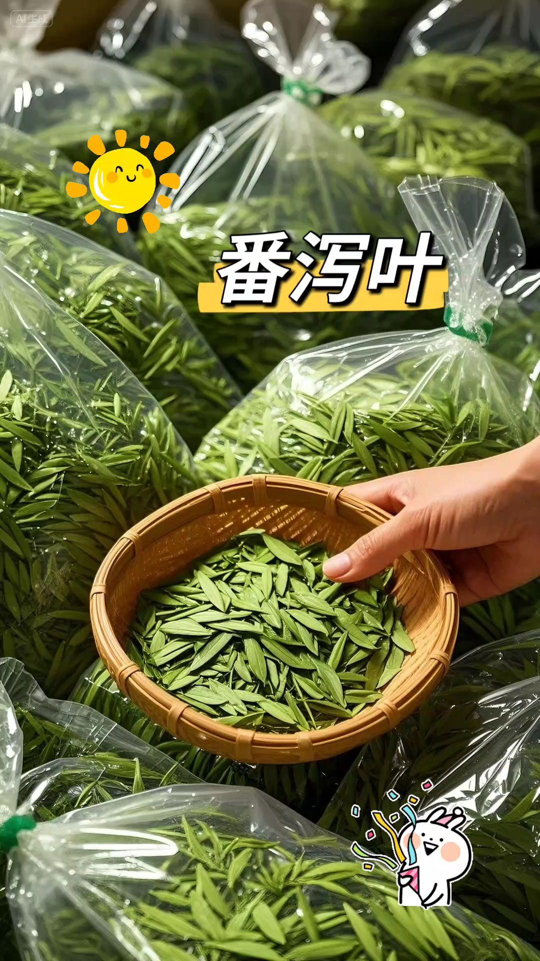 邂逅番泻叶,探寻自然的秘语~ 在植物的奇妙王国中,番泻叶宛如一位低调的隐士,静静散发着独特魅力。它的叶片修长而舒展,脉络清晰,如细腻的纹理诉说着岁月的故事。色泽鲜绿,恰似春日里最鲜嫩的新芽,透着蓬勃的生机。 当你轻轻触碰番泻叶,指尖传来的是它独特的质感,不粗糙也不娇弱,恰到好处的韧性让人感受到自然的巧妙雕琢。凑近细闻,那股淡淡的清香,瞬间将你带入充满阳光与泥土芬芳的田野。 番泻叶生长在温暖的角落,它是大自然的馈赠,承载着阳光雨露的恩泽。从采摘到晾晒,每一道工序都凝聚着匠人的心血。它以一种纯粹的姿态,等待着与人们相 遇,成为生活中一抹别样的色彩,开启一段关于自然与美好的奇妙之旅。#每日一茶 #茶 #好物推荐#番泻叶#番泻叶茶