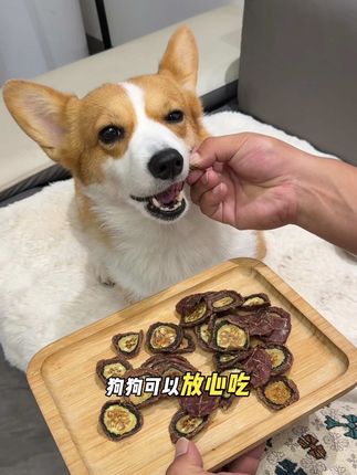青瓜搭配鸭肉,一口一片酥酥脆脆,太适合干燥的季节给狗狗吃了! #宠物零食 #狗狗零食推荐 #萌宠好物 #狗零食 #家有馋狗