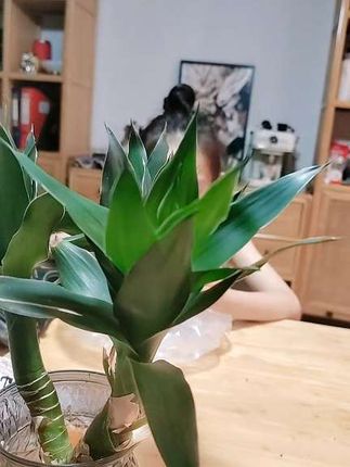 西瓜就要挖着吃#圆圆的脑袋大大的迷茫 #吃西瓜我们是认真的