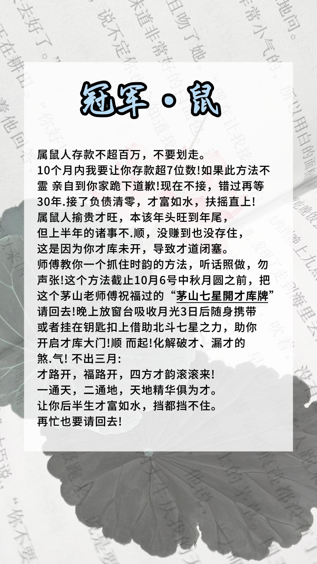 #鼠#属鼠#生肖鼠