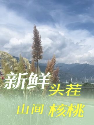 头茬新鲜核桃,一口香脆#新鲜核桃