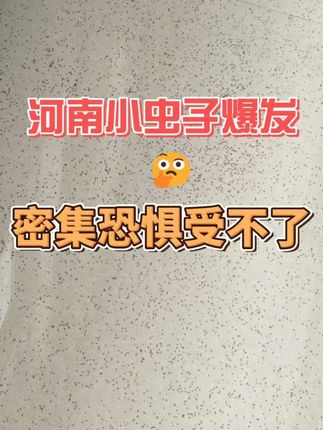 星斑蛾蠓怎么清除 河南老乡警惕! 这种‘小枯叶’叫星斑蛾蠓,小芝麻那么大,常说‘会飞的小芝麻’就是它,翅膀带黑斑,最近雨天加高湿度给星斑蛾蠓大量孵卵开了‘绿灯’,这虫子不只是烦,更可怕的是还会带病上门。它全身细毛挂满大肠杆菌,绿脓杆菌,飞进咱的水杯、菜碗。家中如果大量出现星斑蛾蠓,可以使用杀虫剂在卫生间墙角、地漏、马桶边缘、洗手池周围。能杀死的同时又能破坏虫卵生存环境。#星斑蛾蠓#河南小黑虫#星斑蛾蠓杀虫剂#河南小虫子清理方法#河南小虫子是什么虫