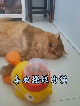 给家里的小主子买了一个玩具,可以让它在家玩耍了#小黄鸭 #漏食器 #萌宠日常记录
