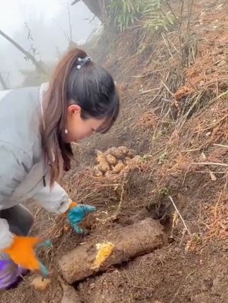 #广东每日一汤 #天麻煲鸡汤 #秋天喝的汤 #巴适得很#靓汤分享 俗话说得好,天麻是个宝,炖汤不能缺少年一季的小草坝新鲜天麻上市了,拿回家炖鸡炖鸭炖排骨,炖出来的汤、鲜美又暖胃,口感好