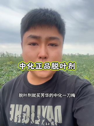中化正品一刀梅脱叶剂,小黄车50亩 100亩规格都有!#芳华农资