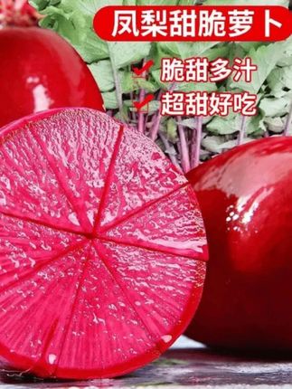 凤梨甜脆萝卜