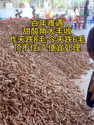 #甜酸角云南特产 #甜酸角你们吃过吗 夏天可以多吃这个甜酸角酸酸甜甜软软肉肉老人小孩都爱吃#快来一起尝个鲜
