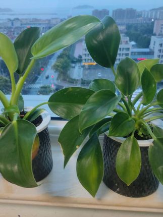 夸孩子也是一门学问要用对方式,不然只能适得其反。#亲子教育 #育儿  #家庭教育  #父母课堂  #干货分享