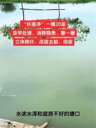 纤底净颗粒深度去除顽固纤毛虫吸附立体更高效#大闸蟹养殖 #螃蟹养殖#虾蟹养殖#纤毛虫处理方法 #鱼虾蟹养殖