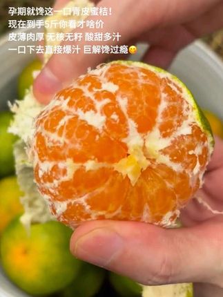 孕期就馋这一口青皮蜜桔!!现在到手5斤你看才啥价!皮薄肉厚 无核无籽 酸甜多汁!一口下去直接爆汁 巨解馋过瘾#新鲜应季水果 #青皮蜜桔 #口感特别好 #优质农产品