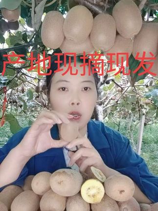 家乡本地的现摘现发黄皮黄心猕猴桃#黄心猕猴桃 #支持全国发货 #支持抖音绿色平台